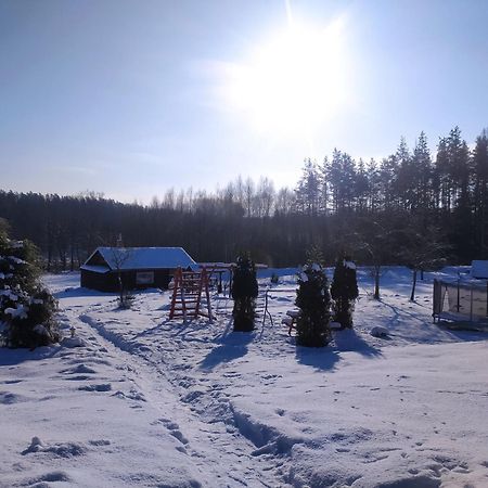 Brivdienu Maja Skerskani Krāslava Dış mekan fotoğraf