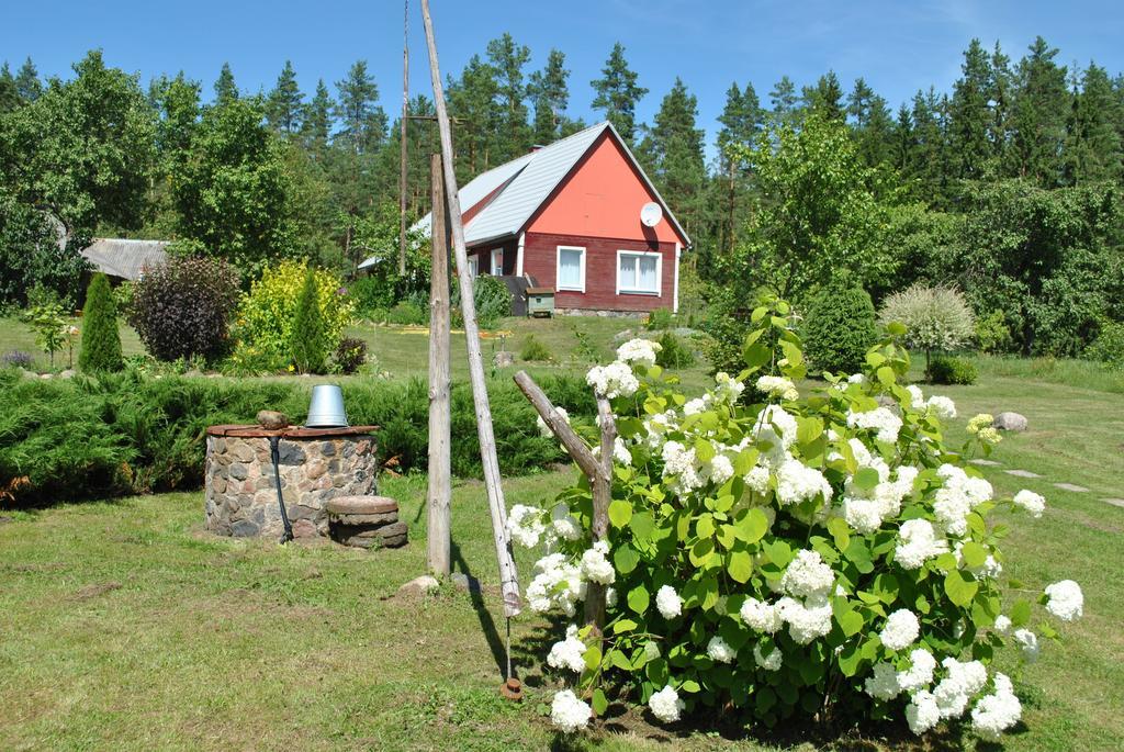 Brivdienu Maja Skerskani Krāslava Oda fotoğraf