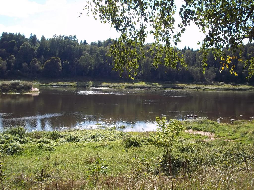 Brivdienu Maja Skerskani Krāslava Oda fotoğraf