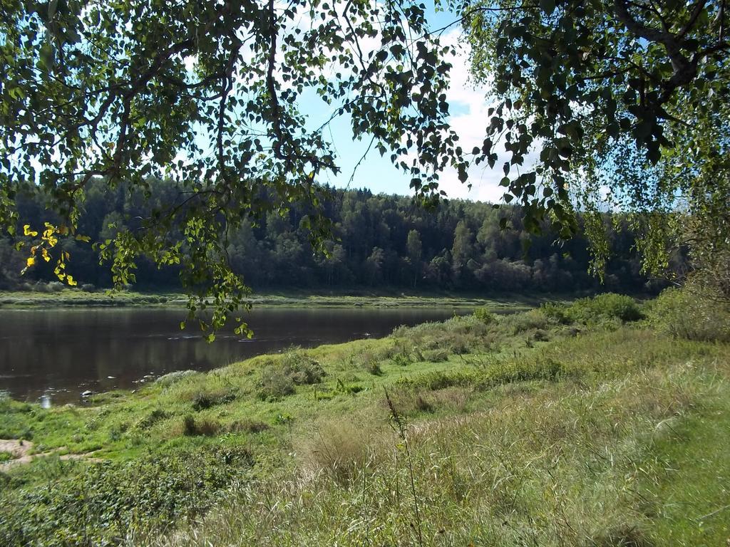 Brivdienu Maja Skerskani Krāslava Oda fotoğraf
